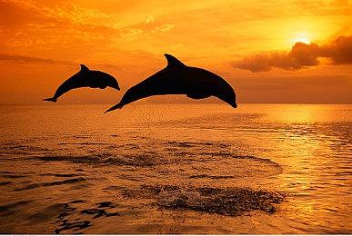 《活侠传》更新日志：新剧情开发在稳步推进中